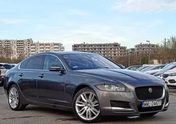 Jaguar XF cena 98900 przebieg: 135600, rok produkcji 2017 z Warszawa małe 529